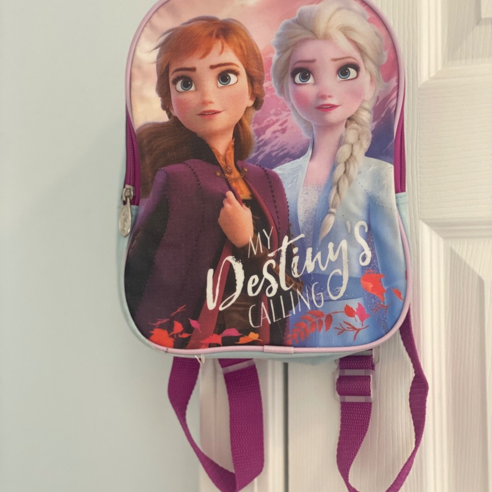 Frozen Small Bookbag